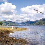 Holy Loch